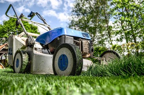 Environmental benefits of a well-maintained lawn
